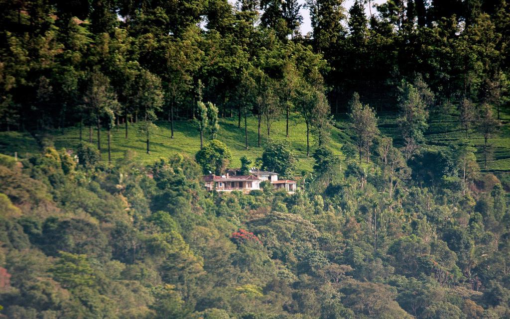 Hotel Rangala House Digana Zewnętrze zdjęcie